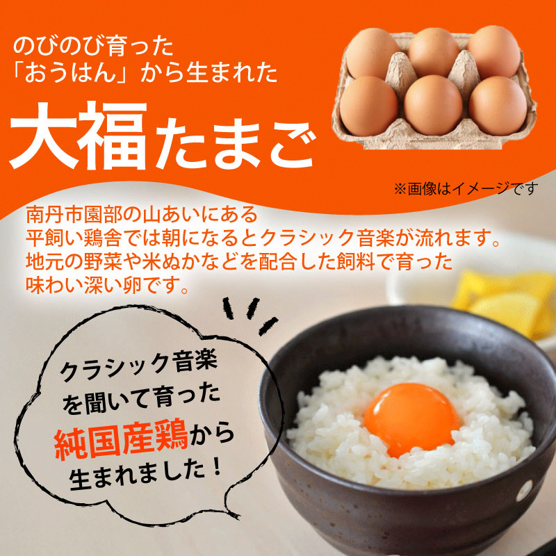 産地直送】旬のお野菜詰め合わせ 京野菜セット8種類 平飼い卵 6個付き