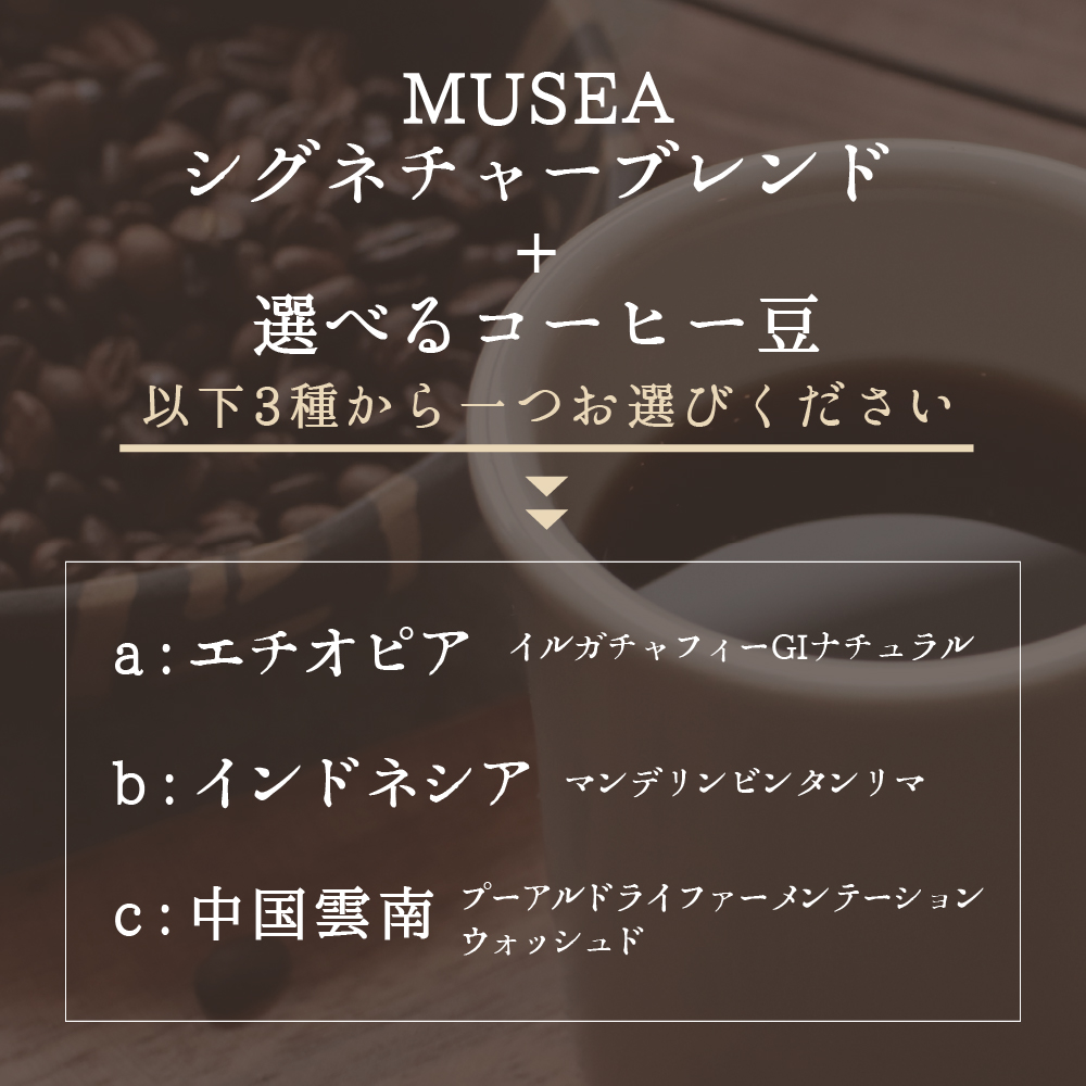 20-94自家焙煎コーヒー豆 選べる2種×500g 合計1kg コーヒー豆 粉 飲み