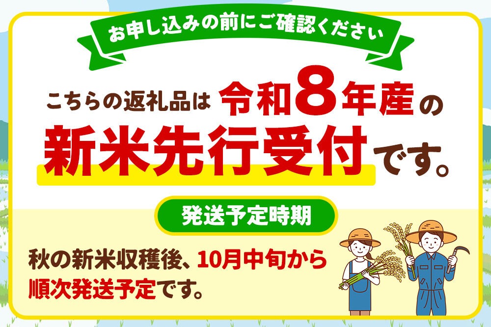 令和8年産新米先行受付》【定期便7ヶ月】 あきたこまち 無洗米 20kg