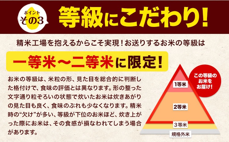 匿名発送】新米！コシヒカリ！合計15キロ 令和6年産 精米白米