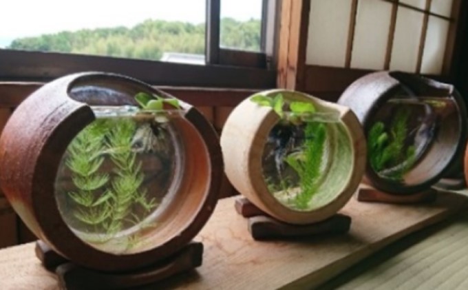 東児の花窯】備前焼 めだか鉢 ベージュ 緋襷（ひだすき） 民芸品 工芸