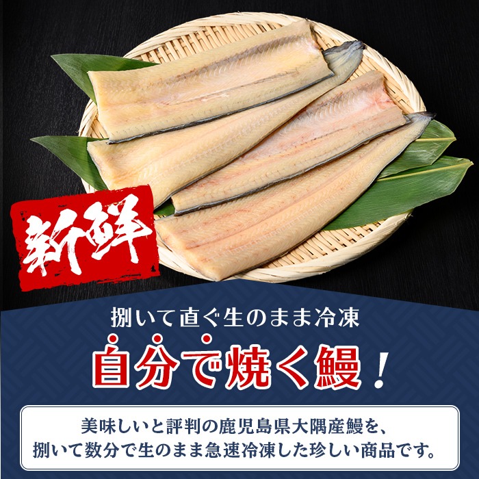 8f2e8d8a-167b-4b51-a9d7-