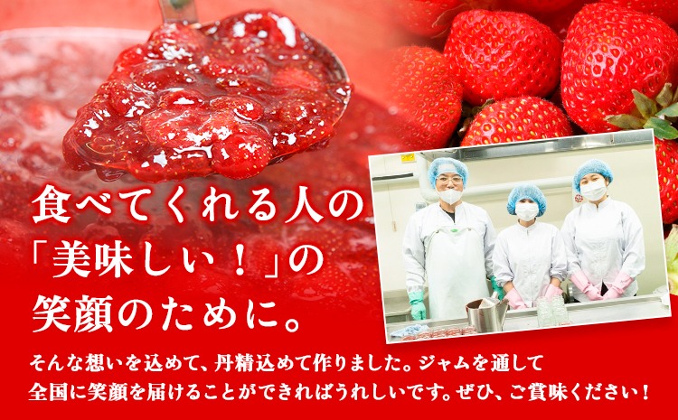 いちご ジャム 果実 ぎっしり！木之内農園の手作りいちごジャム 450g