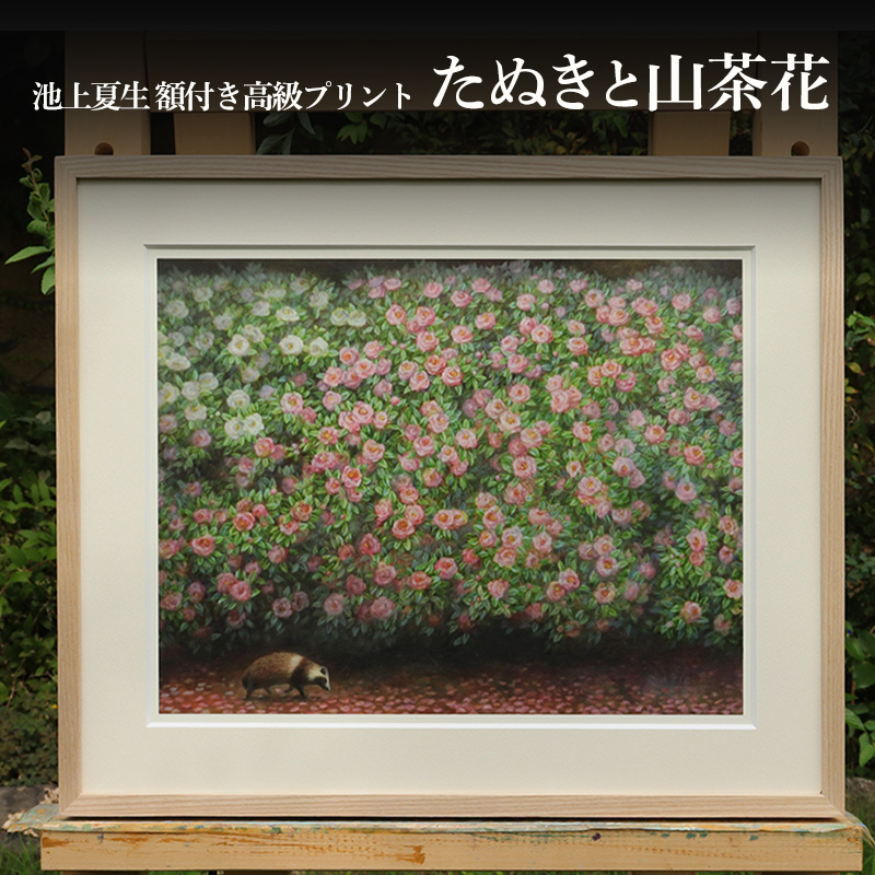 絵画 額付き 池上夏生 小豆島 たぬきと山茶花 木製額 アクリル板