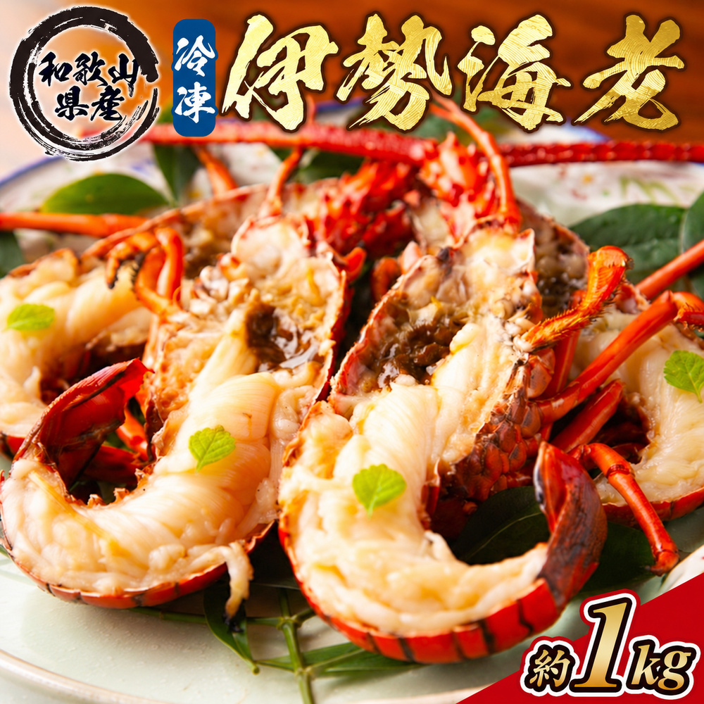 地元産 冷凍伊勢海老カット(サイズ不揃い）約1kg◇｜えび エビ 魚介
