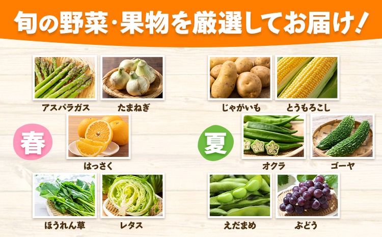 6ヶ月定期便】旬の野菜・果物詰め合わせセット 10-15品 氷川町産 道の