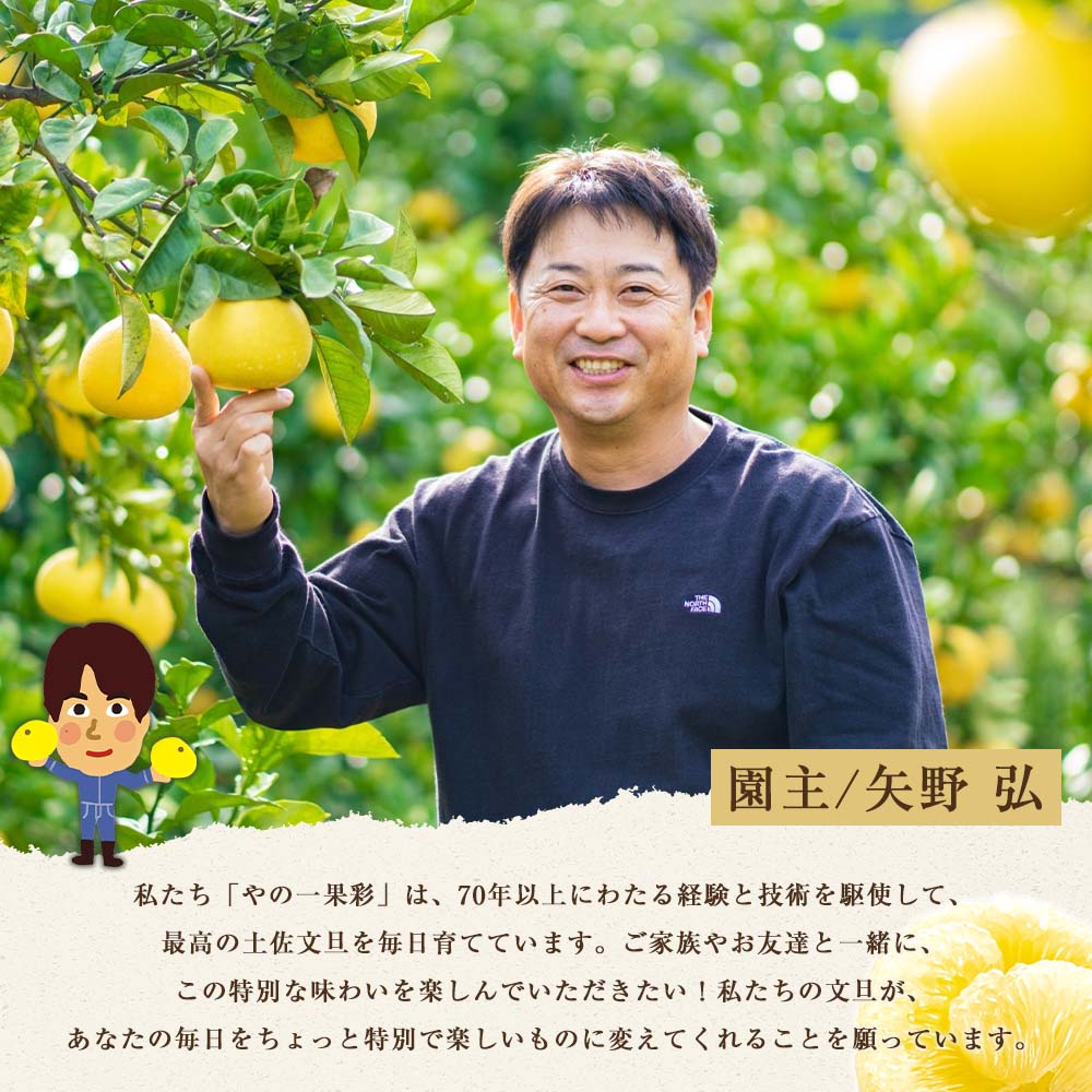 日本ギフト大賞2024受賞】【先行予約】園主こだわりの土佐文旦3キロ