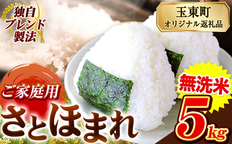 熊本県産 さとほまれ 無洗米 ご家庭用 5kg 《3-7日以内に出荷予定(土日