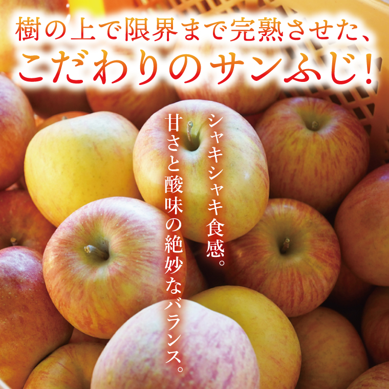 ファミリア ワードローブ りんごの取手 送料12000円込み 先行予約】仲野りんご園の奥久慈りんご「サンふじ」約3kg（9～12玉