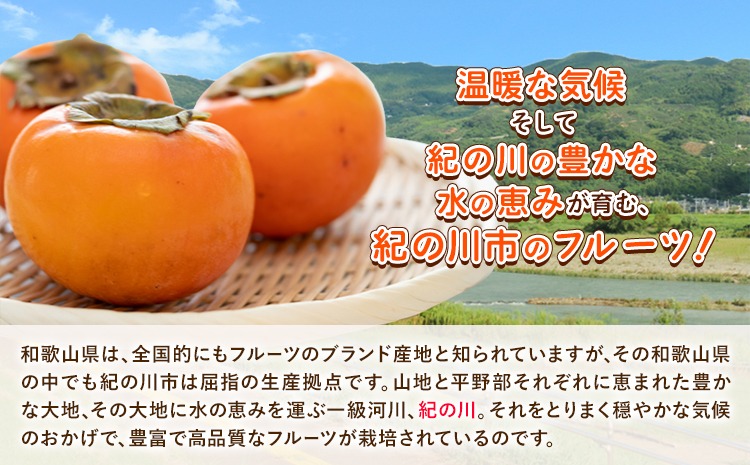 和歌山県産 あんぽ柿 70g×8個セット 紀の川市厳選館 《90日以内に出荷