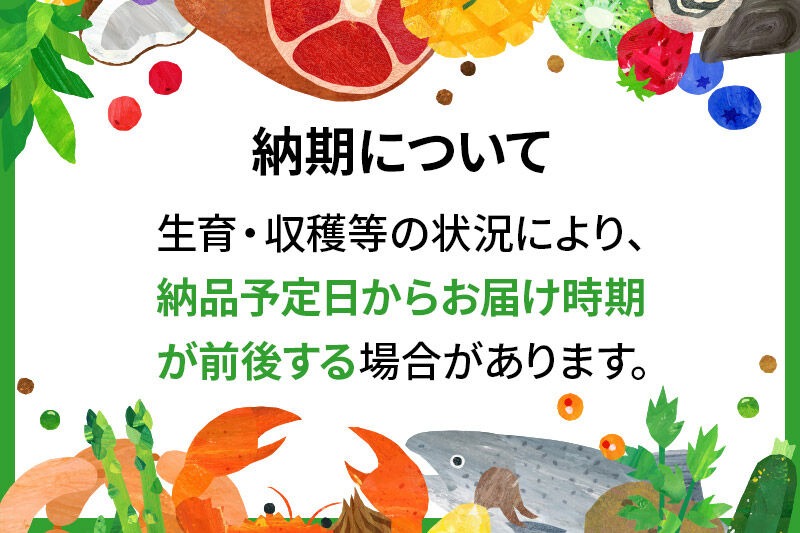 R8産 新米予約※ 《定期便2ヶ月》秋田県産 あきたこまち 30kg【玄米