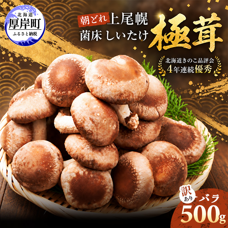 訳あり 椎茸 北海道 厚岸町 上尾幌 朝どれ 菌床 しいたけ 「極茸