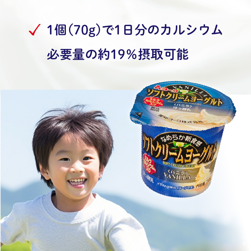 3ヶ月定期便】愛知ヨーク ソフトクリームヨーグルト 20個入［108A09-T