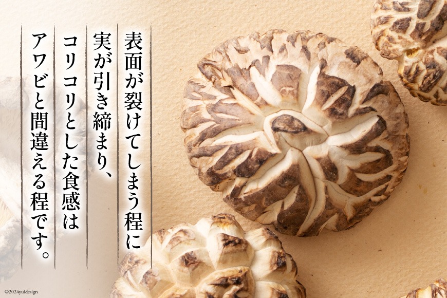 923c182d-2261-497a-a90c-