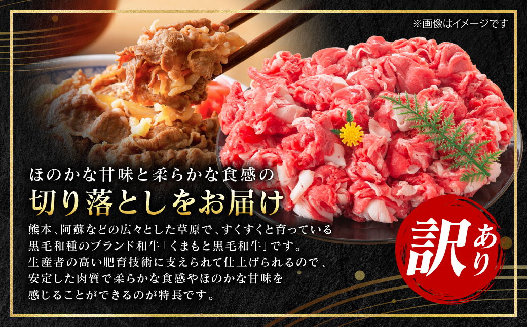 訳あり】 【A4～A5ランク】 くまもと黒毛和牛 切り落とし 1.5kg （500g