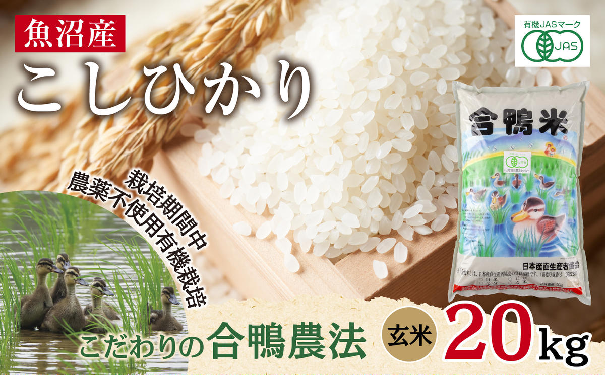 食品 あいがも農法 玄米20kg