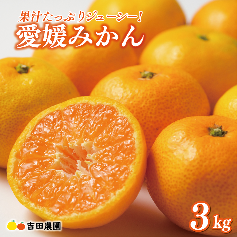 先行予約 愛媛みかん 3kg 9000円 愛媛 みかん 温州みかん こたつ