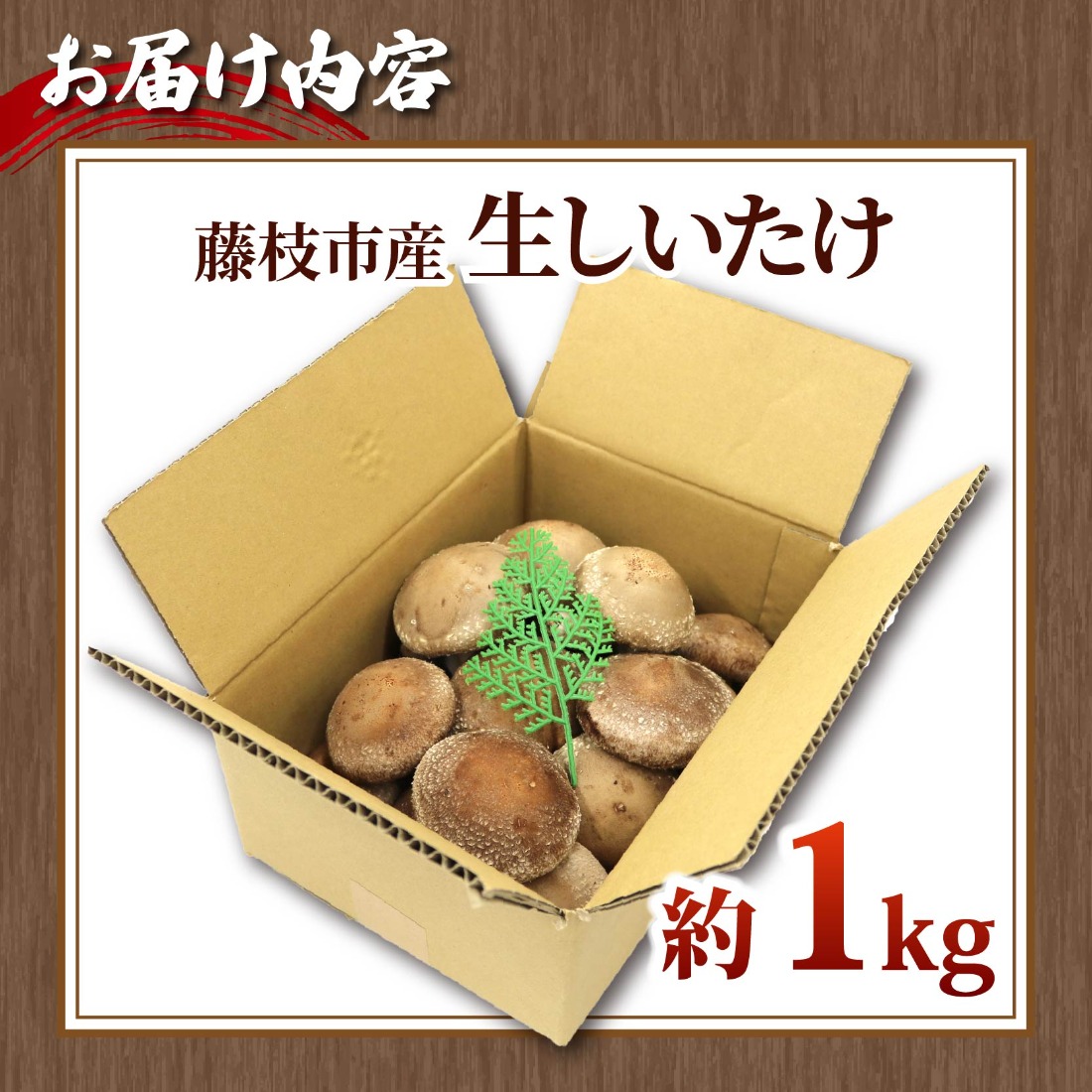 しいたけ 生しいたけ 約1kg 前田きのこ園 椎茸 シイタケ 肉厚