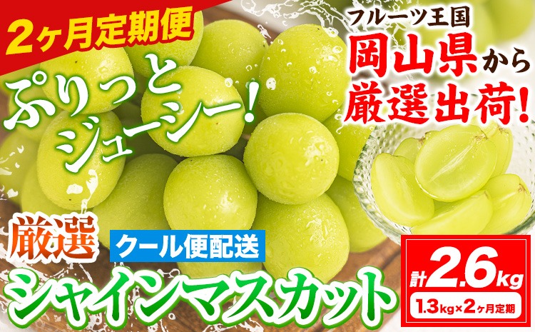 2ヶ月定期便】【2026年発送先行予約】シャインマスカット 岡山 約1.3kg