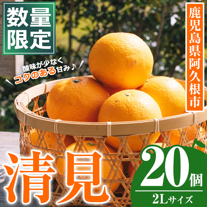 先行予約受付中！2027年3月中旬以降順次発送予定＞数量限定！鹿児島県