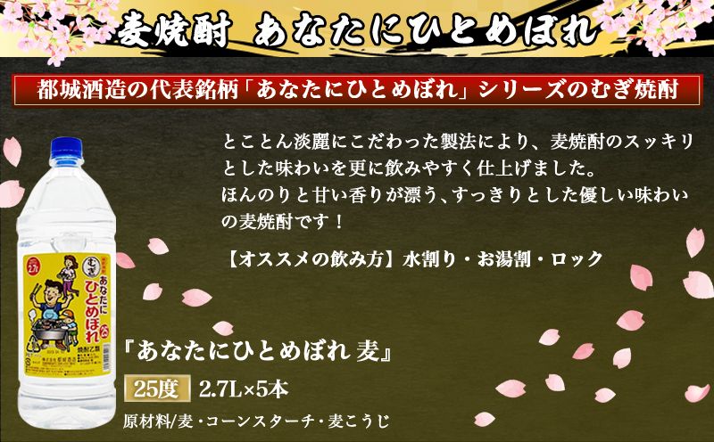 都城酒造】あなたにひとめぼれ 麦(25度)2.7L×5本 ≪みやこんじょ特急便