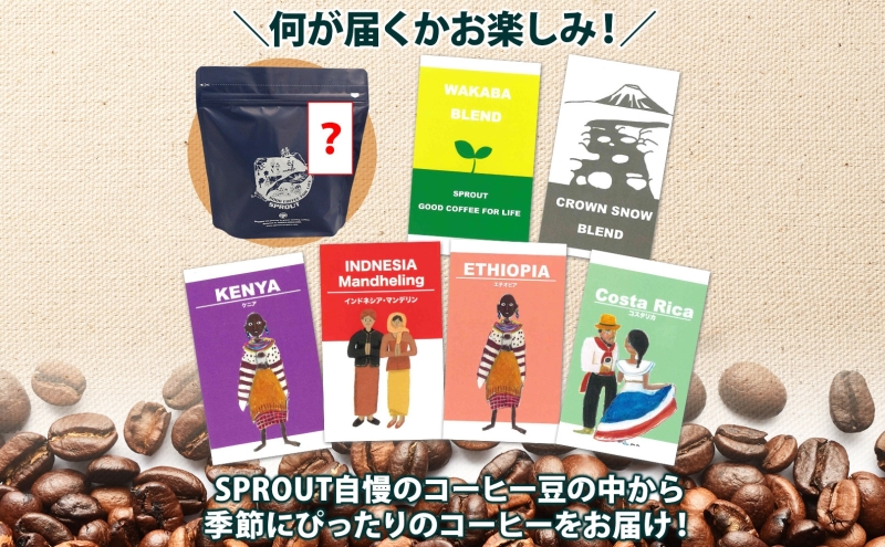 自家焙煎 オリジナル コーヒー豆 3種 コーヒーバッグ 2種 セット 90杯