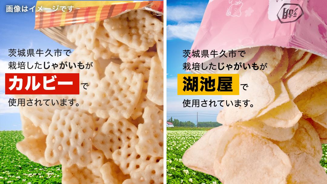 最短3営業日！ ／ 【選べる配送方法】カルビー 湖池屋 人気 詰め合わせ