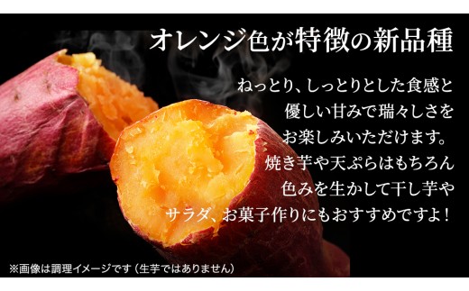 さつまいも 【 選べる品種 】 5kg / 10kg ( 箱込 ) サツマイモ