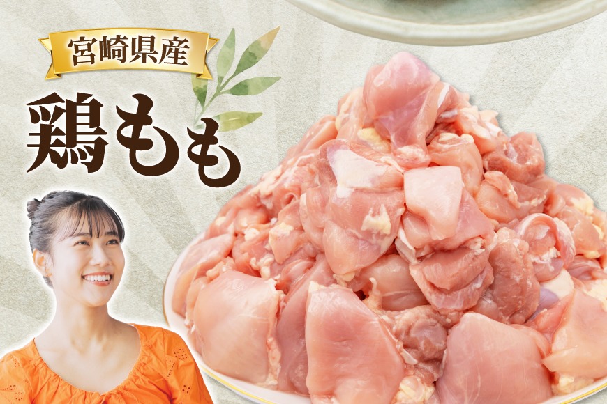 鶏肉 6回 定期便 もも 切身 IQF 250g 6袋 1.5kg 計9kg [南九フーズ