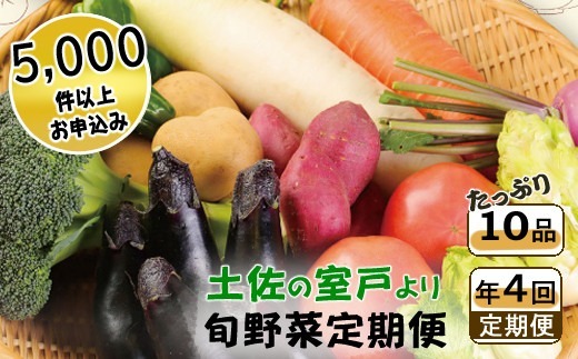 定期便 年4回 野菜セット 旬 1回あたり10品 詰め合わせ 春夏秋冬