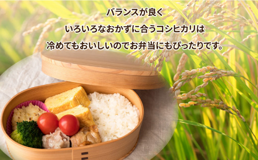 令和7年産米 精米5kg×2袋、計10kg 土浦市産コシヒカリ ホタルが舞う里