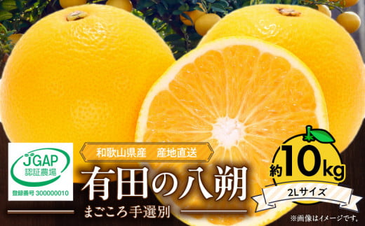 2027年先行予約】和歌山県産 有田の八朔 (はっさく) 約10kg【2Lサイズ