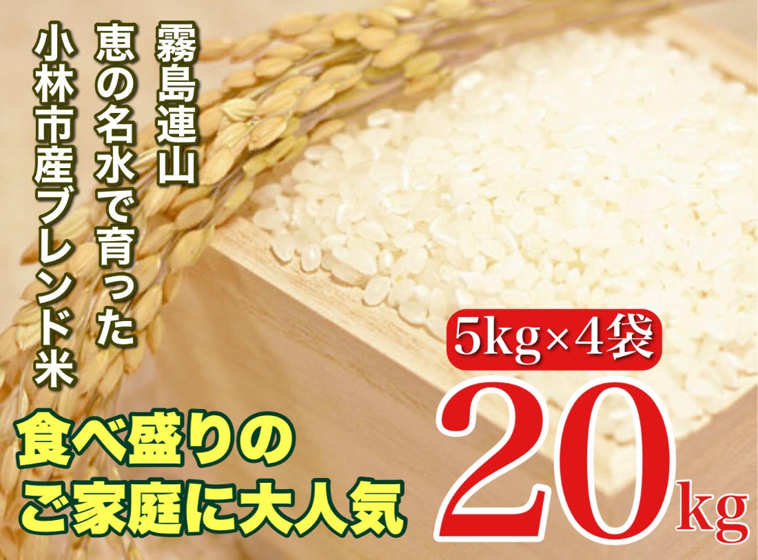 生活応援米】湧水で育った小林市産ブレンド米 20kg（5kg×4袋 お米 米
