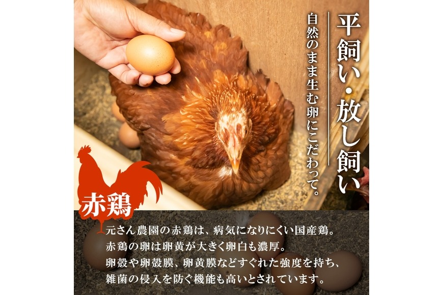 160個入り　佐伯養鶏の朝採れ平飼い卵 957816cf-733c-438c-a9a7-