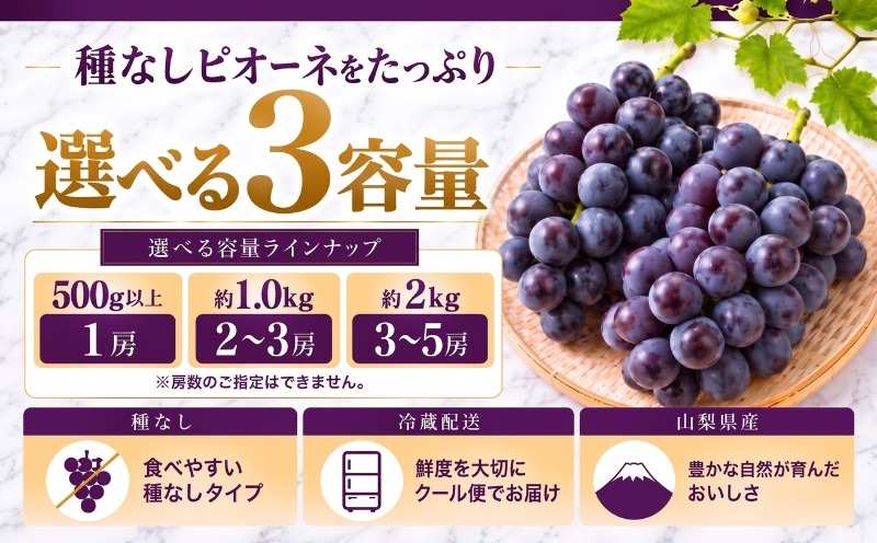 種なしピオーネ 選べる3容量 500g以上 約1.0kg 約2.0kg