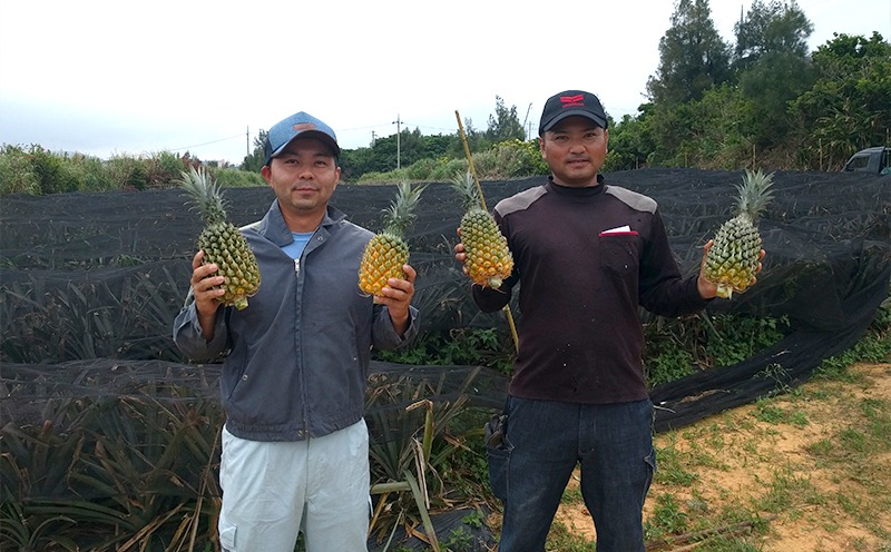 2026年発送【数量限定】ひとくちぼれ 金武町のすぐりむん（極上