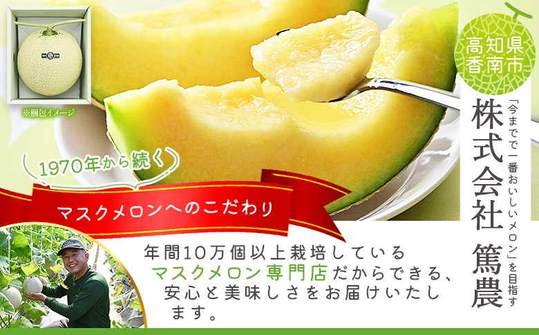メロン 家庭用 2玉入り 【7日程度で発送】一果相伝マスク 最短配送 