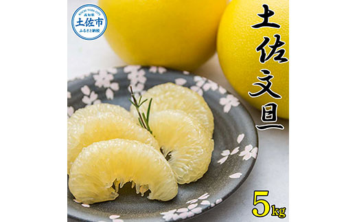 高知県産土佐文旦5キロ贈答用 先行予約】高知県産 土佐文旦 贈答用 約5kg 8～10玉入 〈2027年2月