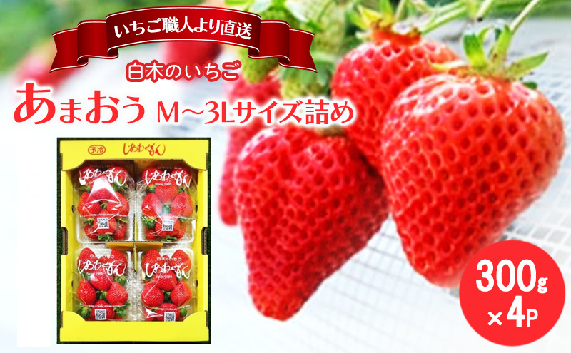 いちご いちご職人 白木のいちご あまおう 300g×4パック詰め (M～3L
