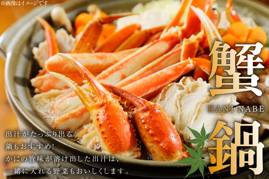 訳あり ボイル ずわいがに 肩付き脚 総重量1kg [カネダイ 宮城県