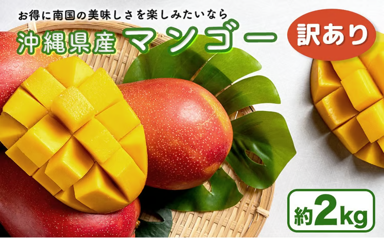 ハナトフルーツ 沖縄県産 訳ありマンゴー2kg 【 先行予約 2026年