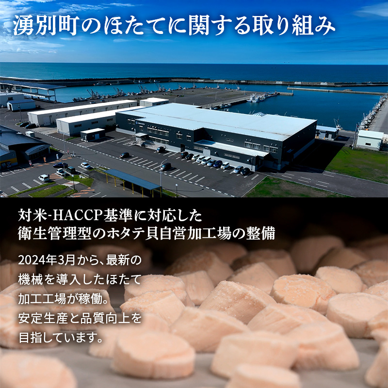3ヵ月連続お届け 定期便 訳あり 北海道 オホーツク産 冷凍 ほたて 貝柱