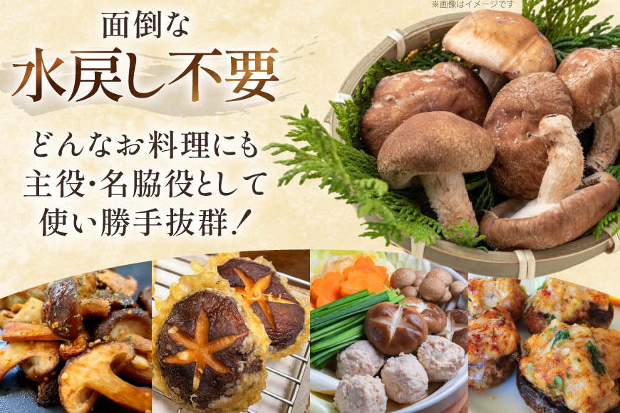 生しいたけ セット 約300g× 2袋 約150g× 2袋 計4袋 約900g [杉本きのこ