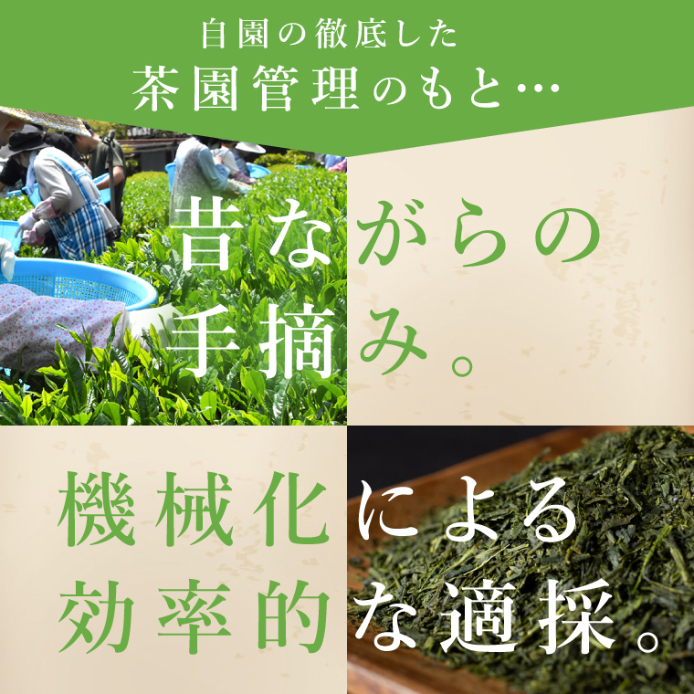 吉成園 奥久慈茶 品評会茶 200g（BW004）（茨城県大子町） | ふるさと
