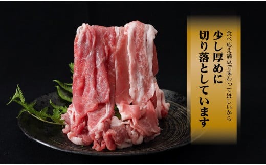 9/1申し込みより冷凍発送！】 訳あり！富士湧水ポークの切り落とし 2