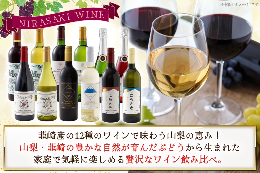 韮崎産 赤白スパークリング12本 お得な飲み比べセット 750ml ×11本