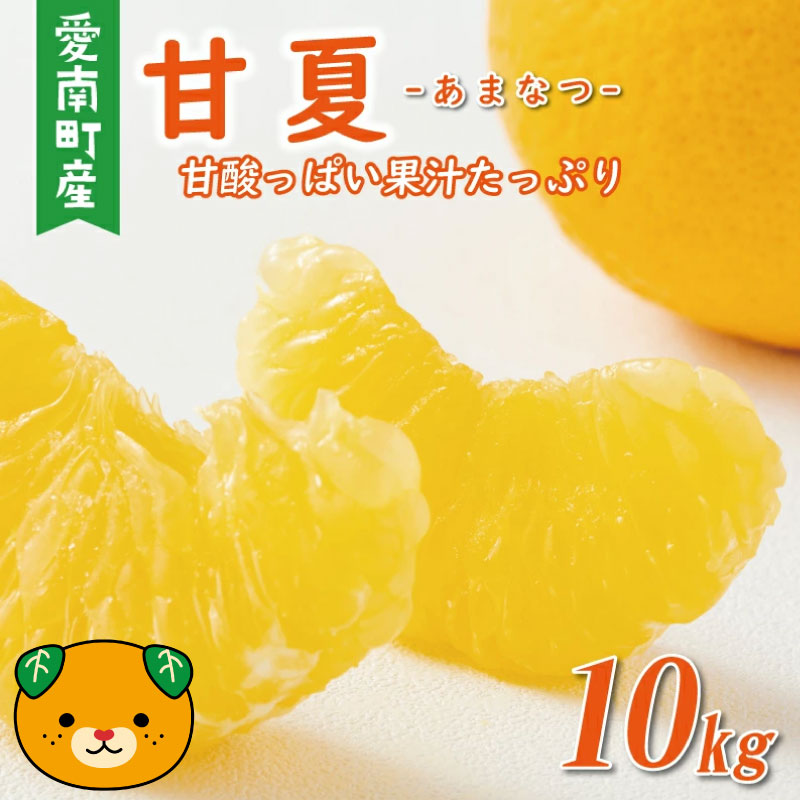 先行予約：2026年12月中旬～なくなり次第終了】 訳あり 甘夏 10kg 7000