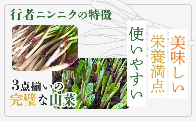 行者ニンニク 4種 セット 醤油 しょうゆ漬け 刻みしょうゆ漬け 味噌 各