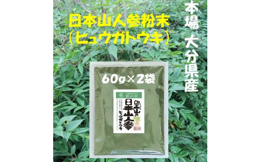 F09002】日本山人参（ヒュウガトウキ）粉末 本場大分県産（大分県大分