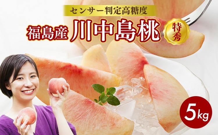 透過式光センサー川中島白桃 特秀5kg相当 15玉～18玉＜ ふくしま